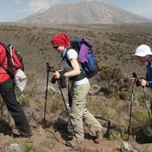 Kilimanjaro Day Tour
