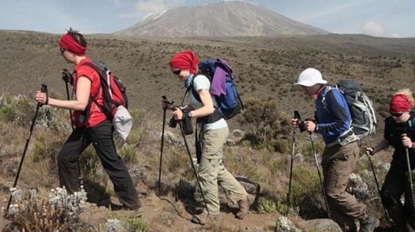 6 days mount kilimanjaro trekking rongai route tour 2 11787 1510029029