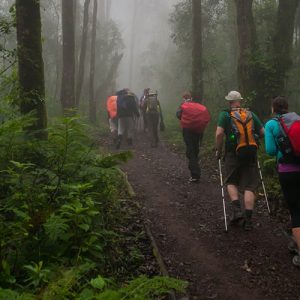 7 Days Climbing Mount Kilimanjaro Lemosho Route