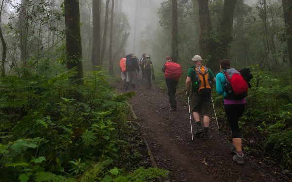 Climbing Mount Kilimanjaro Lemosho Route