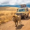 tanzania safari leken adventure 768x728 1
