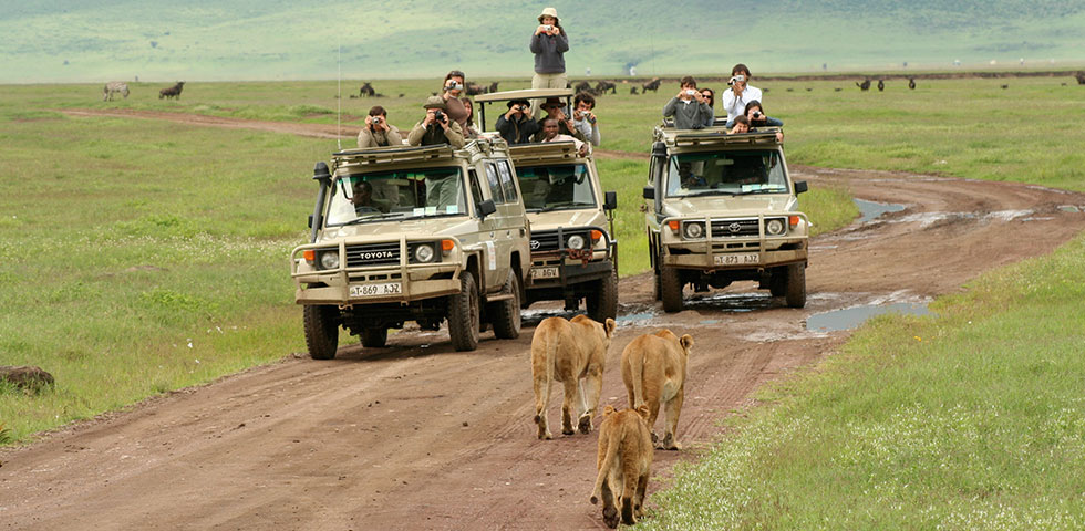 7 Days 6 Nights Lake Nakuru Masai Mara Isebania Serengeti Ngorongoro Crater Safari Package