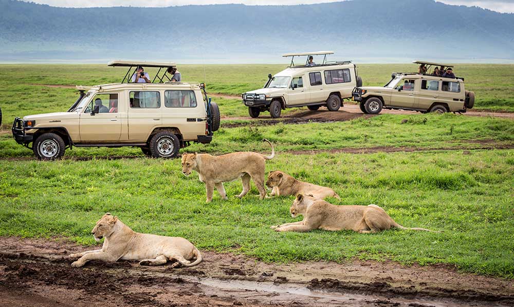 Ngorongoro 4a